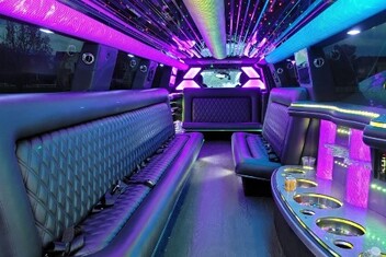 Palatine Limo Interior